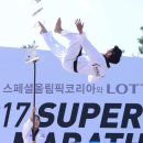 롯데블루 태권도 이미지