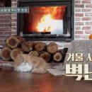 하늘꿈민박 이미지