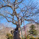 구천동 어사길 | 무주 구천동어사길 눈꽃트레킹(24년1월) 후기