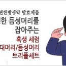 헤바베오 (Hebavepo)
