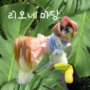 &lt;아산&gt;포동 멍래블 친절한 “ 리오네 마당” 재방문 리얼 후기