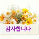 신세계약국 이미지
