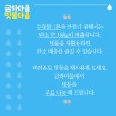 금하마을 주민공동이용시설 이미지