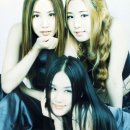 PAPAYA 이미지