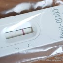세강약국 | 미접종자의 코로나 자가격리 7일 후기