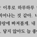 오라 이미지