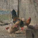 물안골마을 이미지