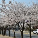 월드컵경기장 주변 뒷길 이미지