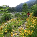 동수상천 이미지