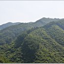 국사봉농장 이미지