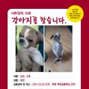 부천역곡초등학교 이미지