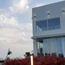 공극 샌드커피 이미지