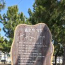 율포솔밭해변1 이미지