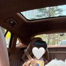 꼬똥몽드 이미지