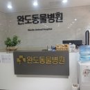 완도동물병원 이미지