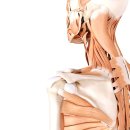 왜관정형외과의원 이미지