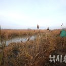 고교농로 이미지