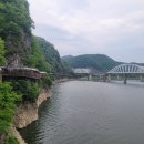 포레스트 리솜 이미지