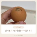 자연을 담은 건강한 선택, 난각번호 1번 유정란 계란 후기