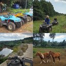 서아목장 | 12월 제주 동쪽 가볼만한곳 제주도 ATV 국내 액티비티 오케이레저