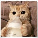 포커스학원 이미지