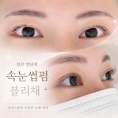 블리채 네이버블로그