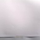 돋보이 개 이미지