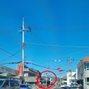 진전농장 네이버블로그