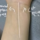 핏그라운드 이미지