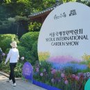 초록디딤돌 이미지