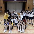 석포체육관 이미지