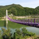시루섬 Daum카페