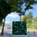 독서토론 | <여기는 모든 새벽의 앞>독서토론 후기. 끝이 나봐야 보이는 것도 있더라. 마미야 가이