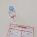 발리 허니문 어썸트래블 상담 후기｜일정 및 항공권 편