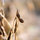 소만농장 이미지