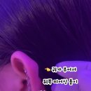 우엉재피어싱 이미지
