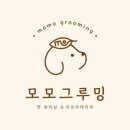 모모애견샵