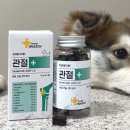 펫 친구 | 마이펫닥터 멍사원 4기 웰컴키트를 소개합니다! (시그니처 사료 2종, 강아지 세제, 귀세정제, 불리스틱...