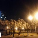 푸른영대식당