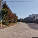 표선리-5 이미지