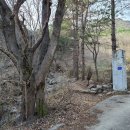 석림정사 네이버블로그