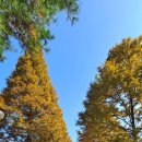 킹콩백화점 수원점 이미지