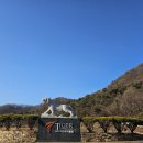 타이거CC 골프장 | 타이거CC 겨울라운드후기