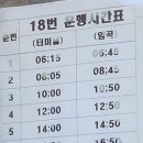 경주-감포(100번), 양남(150번), 암곡(18번) 시내버스시간표 이미지