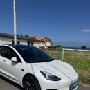 391 스테이 | 제주 🐎🌴 둘만의 여행 1일차 (커피냅 로스터스 • 스시마타네 • 삐꼴라상점 • 스테이언도 • 김녕오라이)