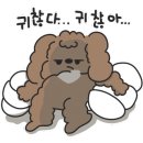 마이멍 이미지