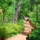 계남공원 이미지