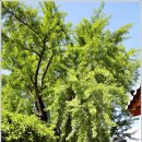 밀양향교작은도서관 이미지