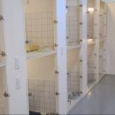 펫프닝 타운 이미지