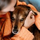 다정한 동물병원 이미지